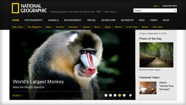 发卡平台直营的平台在线ddos压力测试